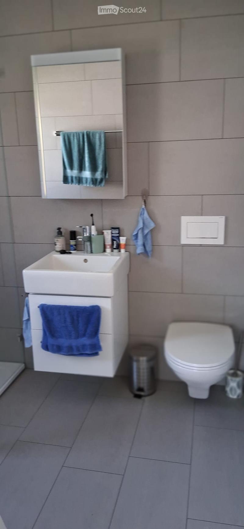 Modern bathroom with a white sink, mirror, and toilet. Towels are hanging on the cabinet and a trash can is placed on the floor.