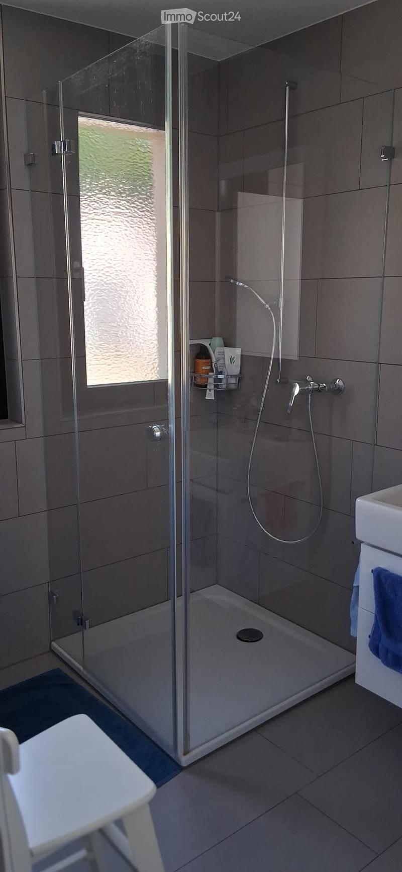 Modern bathroom with a glass-enclosed shower stall, a handheld shower hose, a towel on the cabinet, and a sink visible in the foreground.