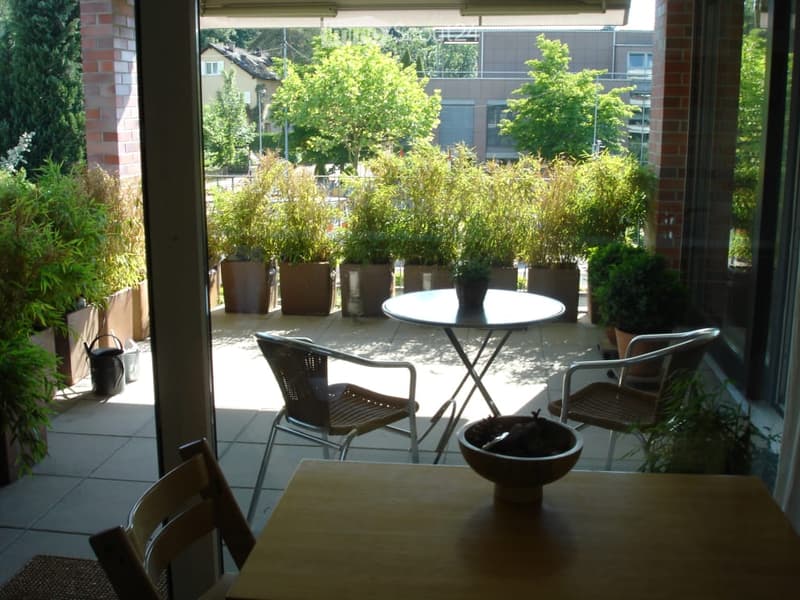 Balcony with a round table, two chairs, potted plants, and a bowl on a wooden surface.