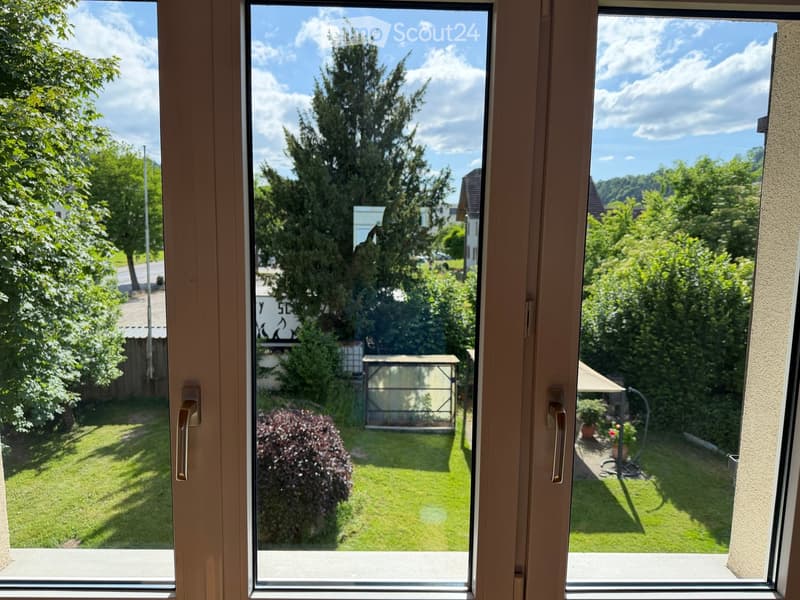 View from a window showing a well-maintained garden with green grass, bushes, trees, and a small greenhouse structure.