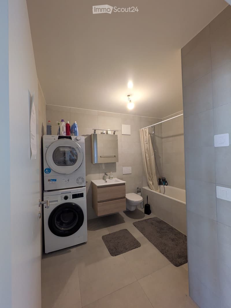 Modern bathroom with a washing machine, sink, toilet, bathtub, and shower area. Includes a mirror, cleaning supplies, and bath mats.
