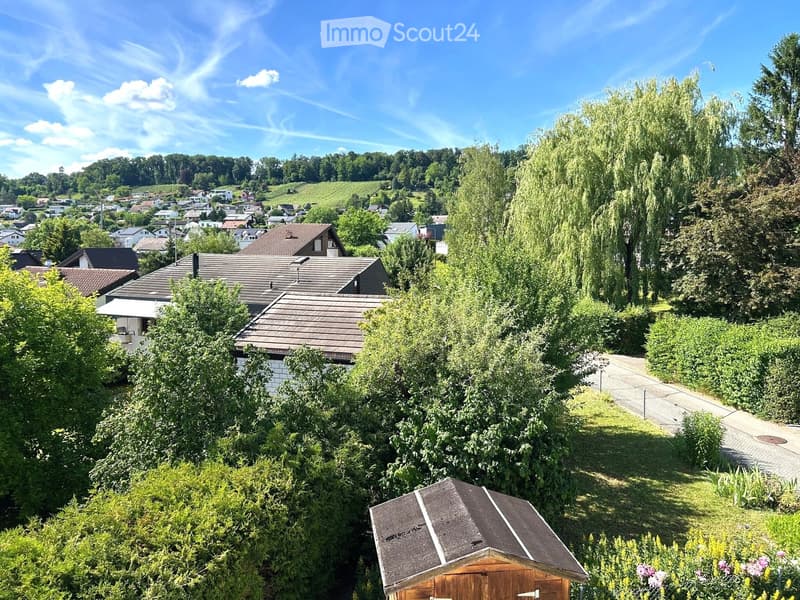 A peaceful residential area with houses, lush greenery, and a clear blue sky. The scene includes a mix of trees, shrubs, and a small wooden shed in the foreground.