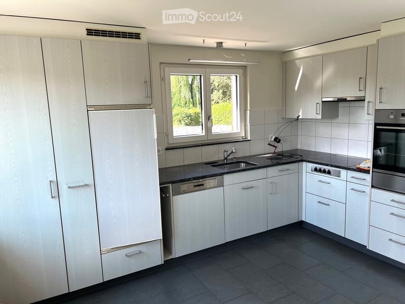 Modern kitchen with white cabinets, stainless steel appliances, and a large window overlooking greenery.
