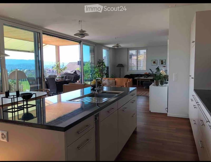Open-plan kitchen and living area with modern cabinetry, island, sink, and large windows offering a scenic view. The living area features a sofa, coffee table, and decorative plants.