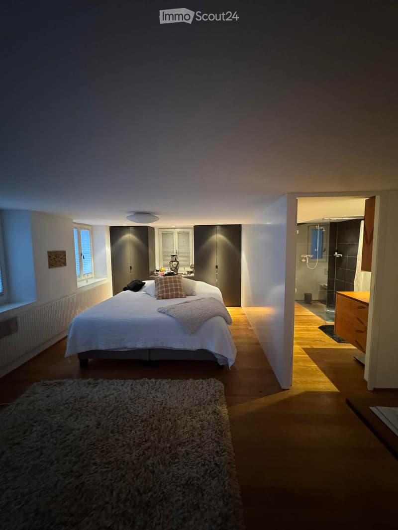 Modern bedroom with a large bed, pillows, blanket, and a fluffy rug on the floor. A wardrobe and a small table with a vase are visible, and an adjacent bathroom is partially visible.