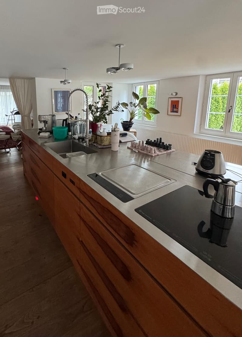 Modern kitchen with wooden cabinets, stainless steel sink, induction cooktop, coffee maker, blender, and potted plants on the counter.