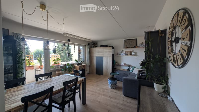A modern, open-concept living and dining area with wooden flooring, large windows, and hanging pendant lights. Features a grey sofa, wooden dining table with chairs, a tall cabinet, and several potted plants.