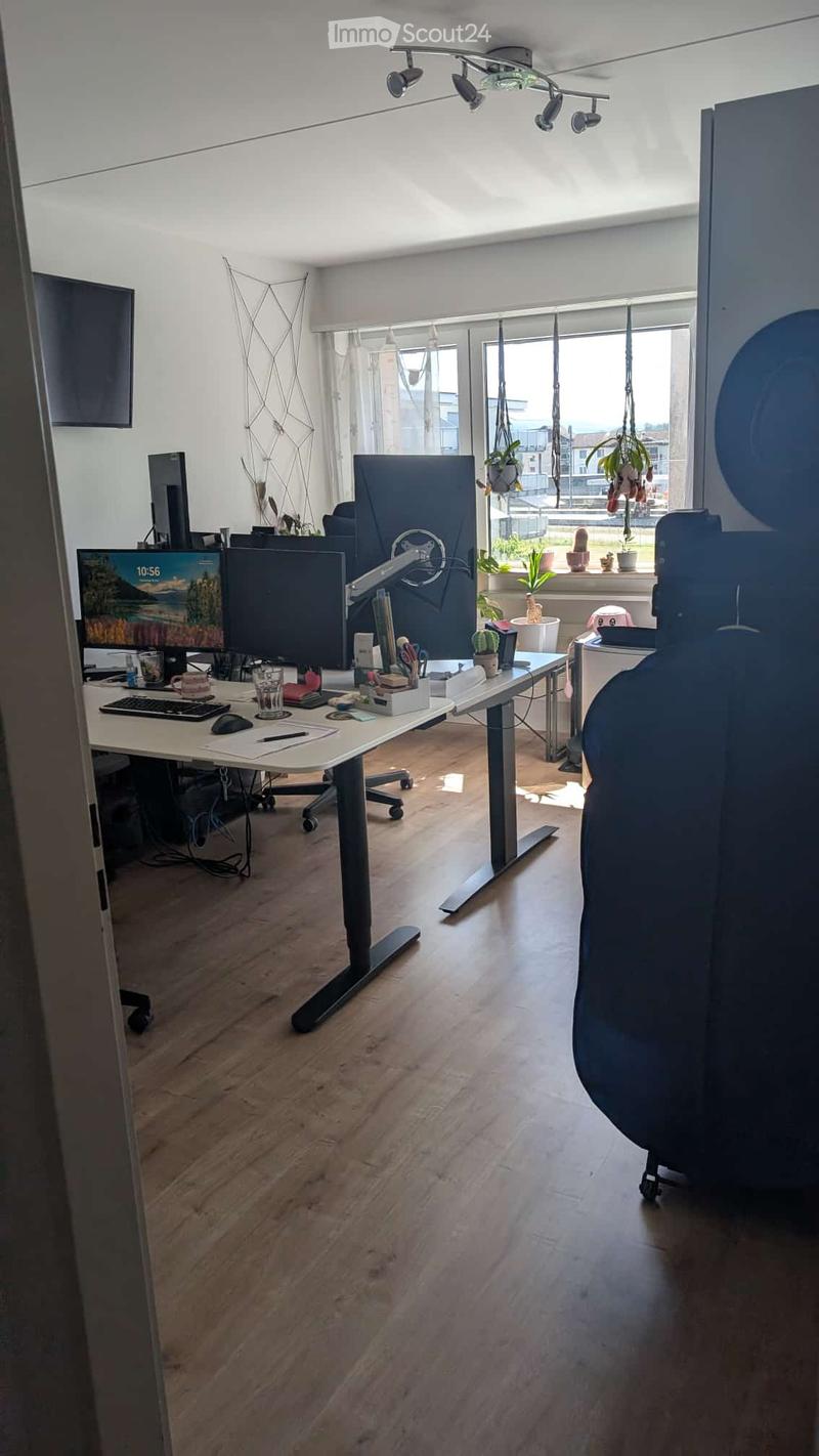 Modern office space with wooden flooring, large windows, desk with computer setup, chair, and decorative plants.