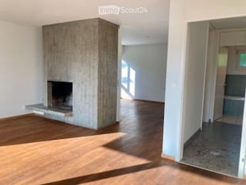 Bright, minimalist living room with a central concrete fireplace, wooden flooring, and large windows allowing natural light to flood the space.