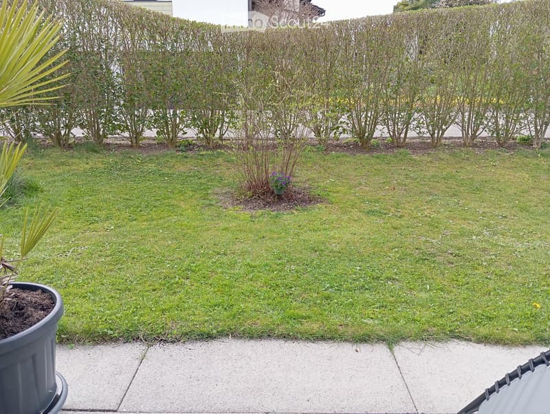 Well-maintained lawn with trimmed hedges, a small flower bed, and a large potted plant on a concrete patio.