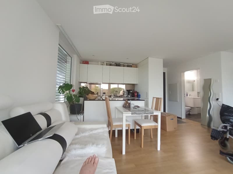 Modern, open-plan living and dining area with white walls, light wood flooring, a white sofa, a laptop, a dining table with chairs, kitchen cabinets, and a visible bathroom with a toilet and sink.