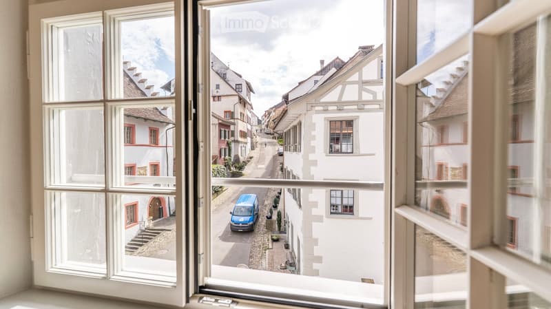 View from a window showing a charming European town street with traditional houses, cobblestone pavement, and a blue van parked on the road.