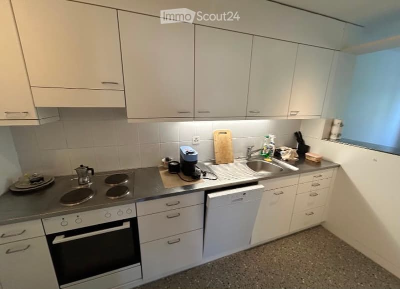 Modern kitchen with white cabinets, induction cooktop, oven, dishwasher, and various appliances on the counter.