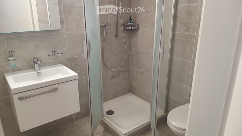 Modern bathroom with a white sink, mirror, toilet, and a glass-enclosed shower with a handheld showerhead.