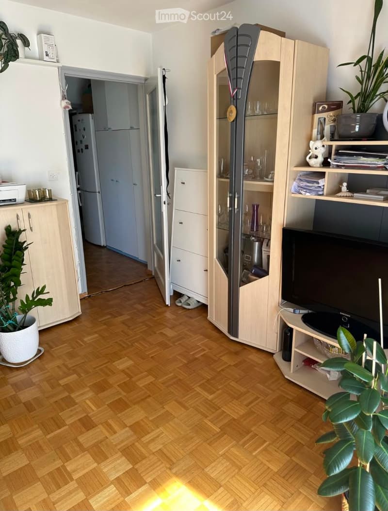 A well-lit living room with wooden flooring, a television on a stand, a large cabinet with glass doors, and several potted plants. The room features a doorway leading to another area with a refrigerator and a printer on a small table.