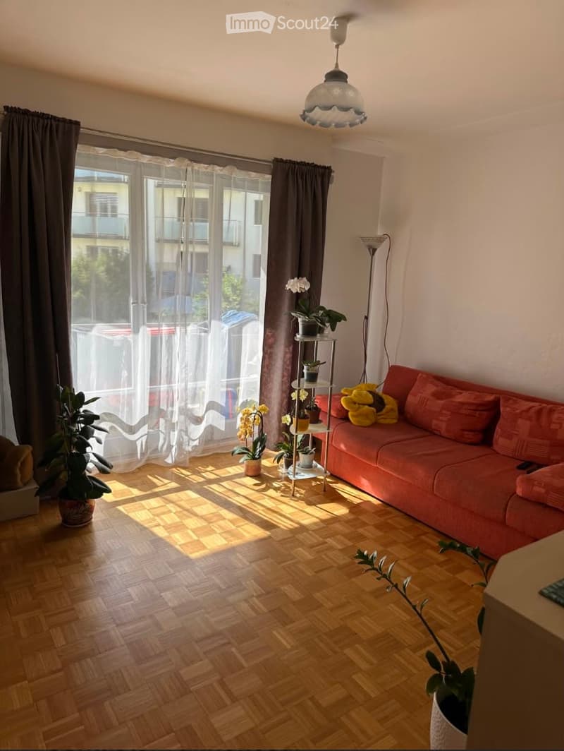Bright living room with wooden parquet flooring, large window with sheer curtains, red sofa, small side table with potted plants, and a hanging ceiling light.