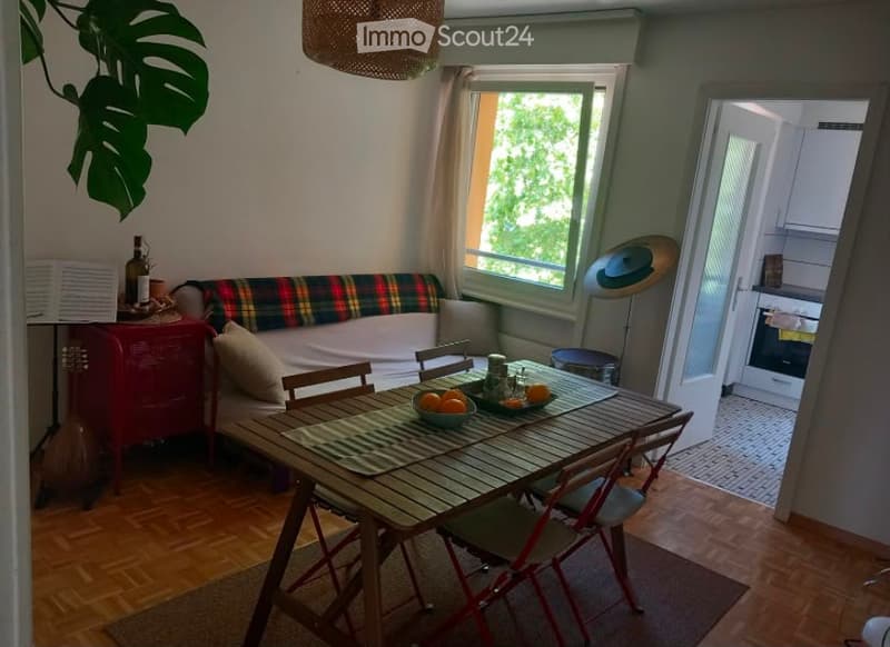 A cozy living and dining area with a wooden dining table, chairs, a sofa with a plaid throw, a bowl of fruit, and a hanging lamp. The room features wooden flooring, large windows with curtains, and a view of greenery outside.