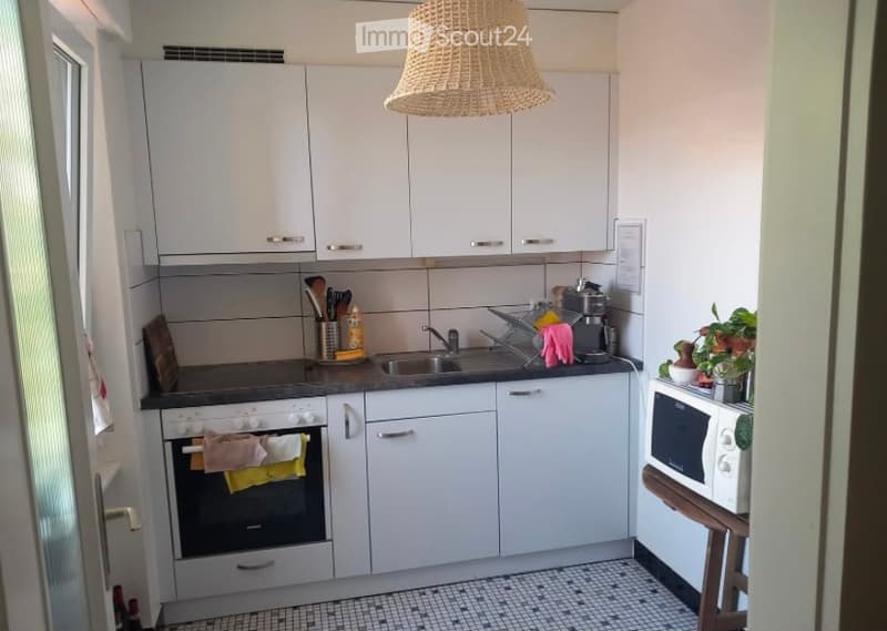Modern kitchen with white cabinets, black countertop, stainless steel sink, oven, microwave, and various kitchen utensils. Features a woven pendant light and small potted plants on the counter.