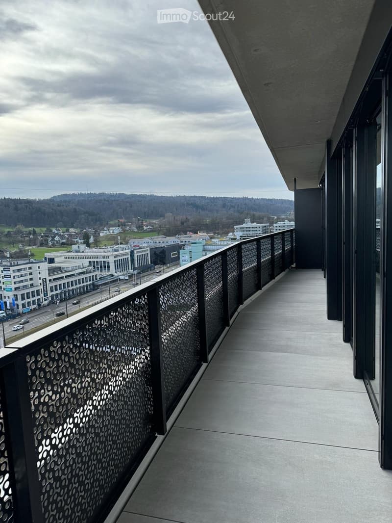 Modern balcony with concrete floor, black metal railing with circular cutouts, overlooking a cityscape with buildings and greenery.