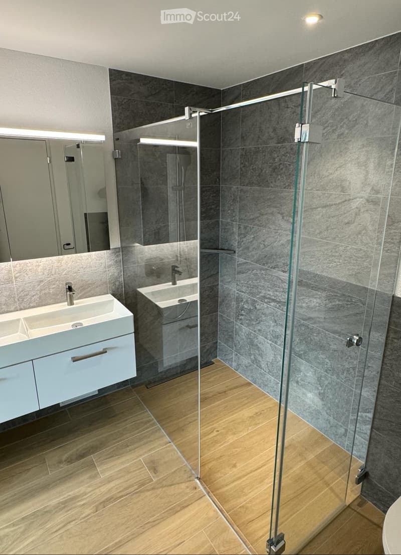 Modern bathroom with a double sink vanity, large mirror, and a glass-enclosed shower area with grey tiles.