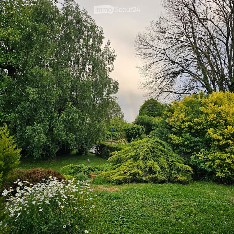 A lush garden with a variety of trees, shrubs, and flowers, including daisies in the foreground and a visible rainbow in the sky.