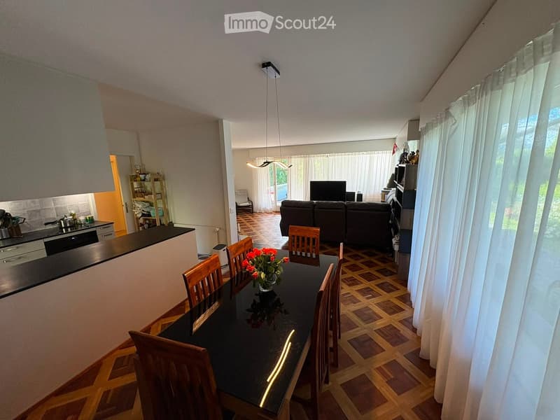 Open-plan living and dining area with a modern kitchen, dining table with chairs, sofa, TV, and large windows with curtains.