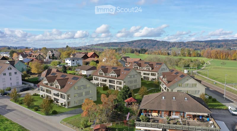 Aerial view of a residential area with multiple houses, solar panels on roofs, green lawns, and trees.