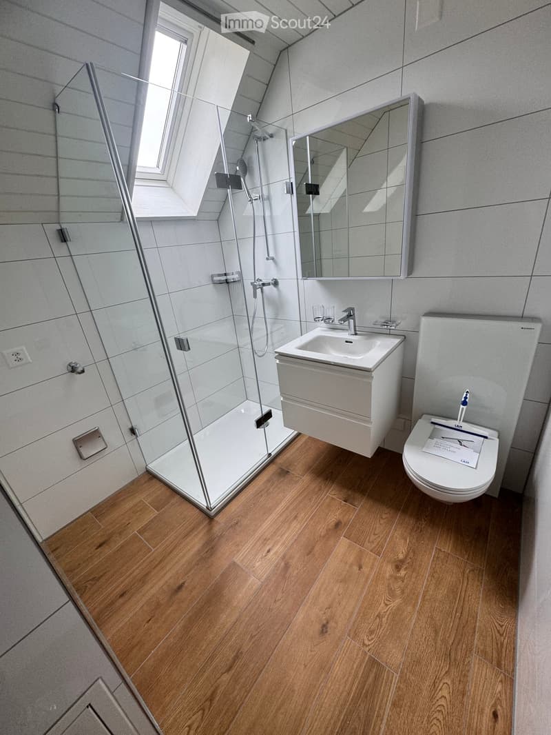 Modern bathroom with wooden flooring, a glass-enclosed shower, a white sink with a mirror, and a toilet.