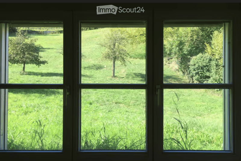 View through large windows of a green, grassy field with trees.