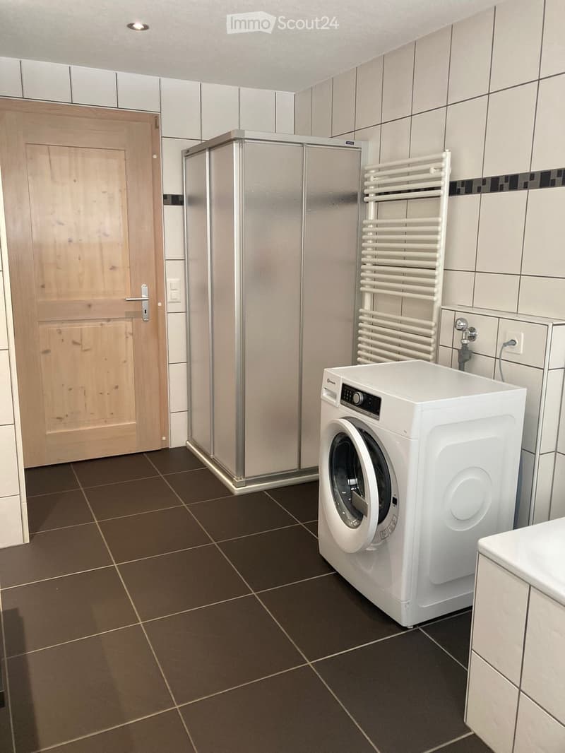 Modern bathroom with dark brown tiled floor, white washing machine, radiator, and wooden door.