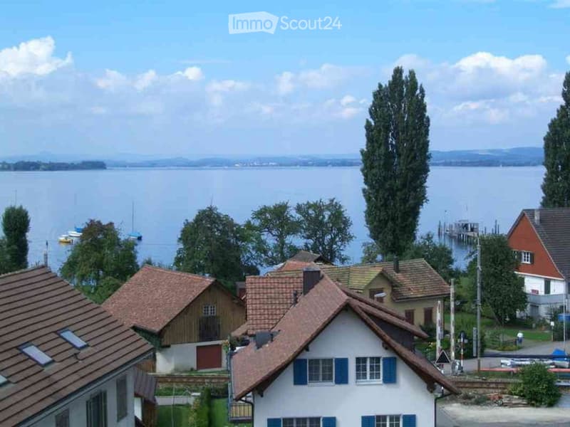 Scenic view of a lakeside residential area with traditional houses, boats, and distant mountains.