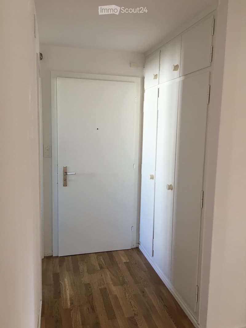 A narrow hallway with light wooden flooring, white walls, a closed white door, and built-in white cabinets with handles.