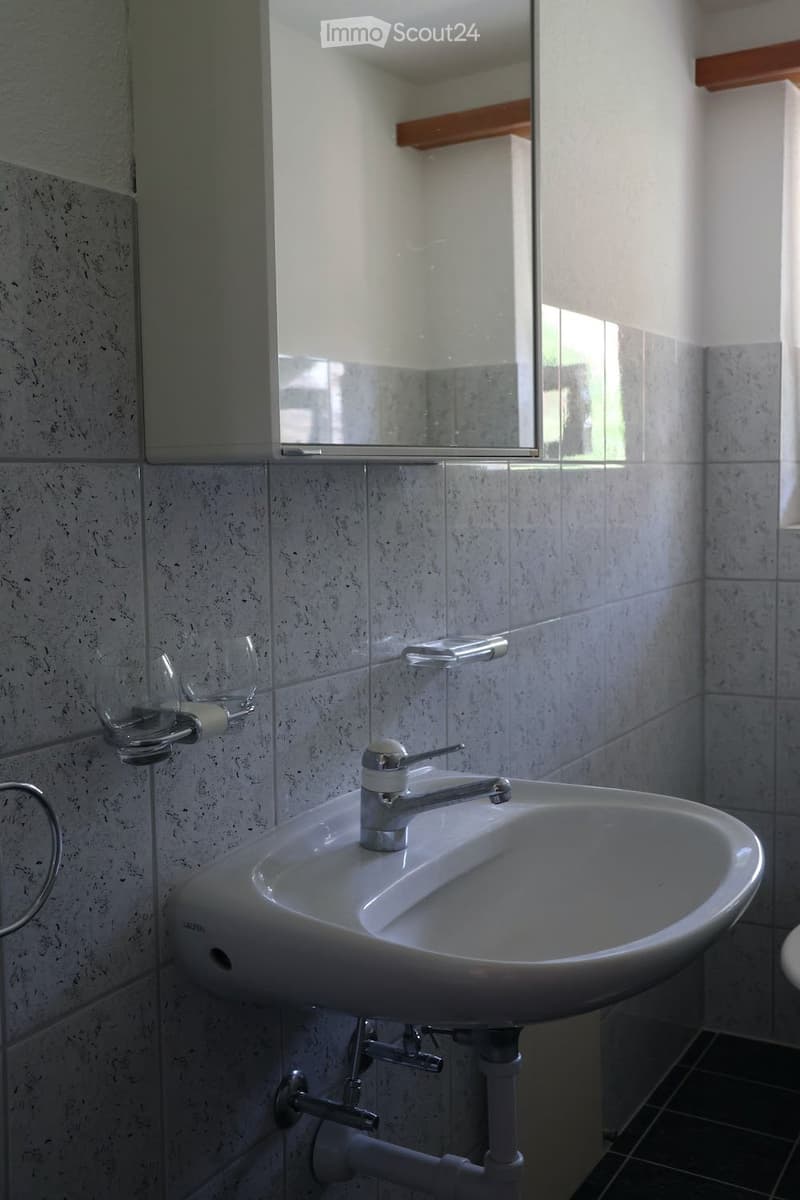 Ampio appartamento in una storica casa Riegelhaus (10)