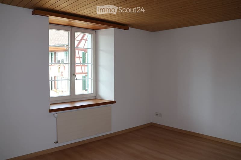Ampio appartamento in una storica casa Riegelhaus (16)
