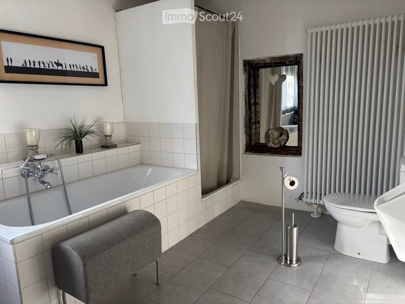 white bathtub, white tile walls, white tiled floor, mirror, radiator, toilet, potted plant, picture frame, roll of toilet paper