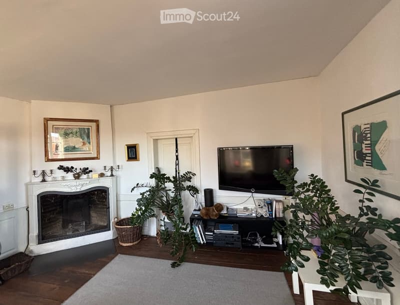 white walls, fireplace, rug, TV on stand, baskets, plants, decorative pictures