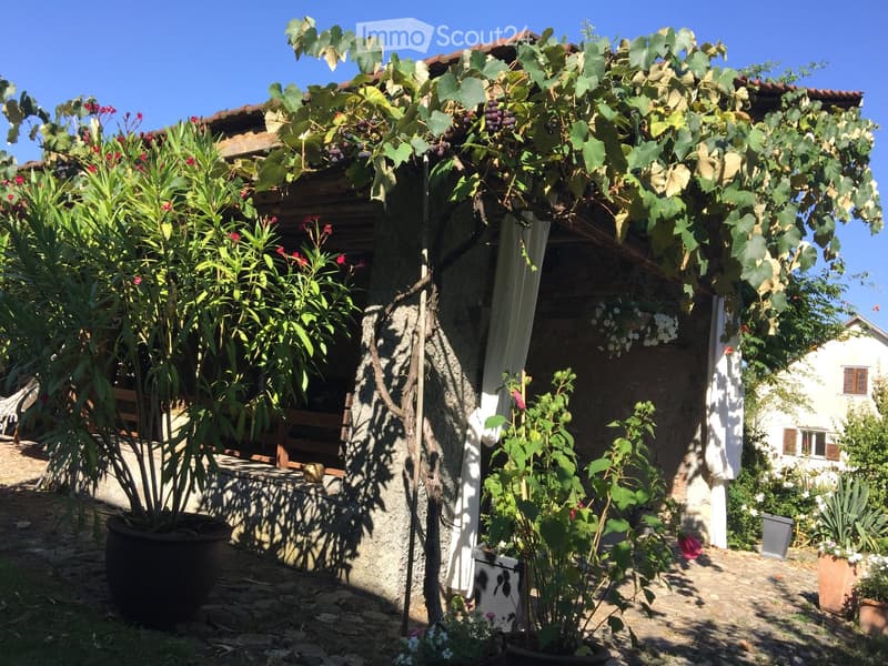 Small house with a vine roof, stone wall, garden with hanging plant, and a white building in the background.
