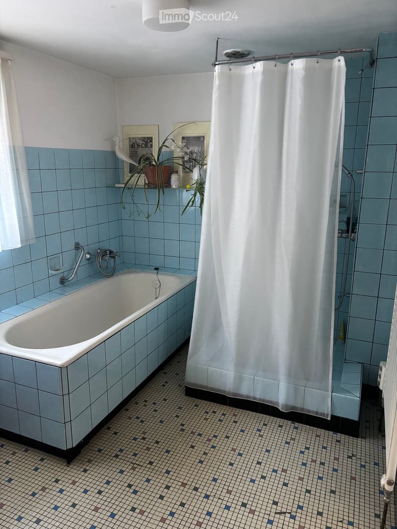 Bathroom with blue tiles, bathtub, shower curtain, shelf with plants, radiator