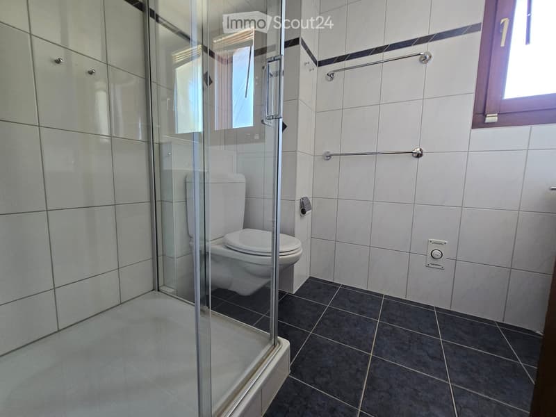 Modern bathroom with white tiled walls, a glass-enclosed shower, and a toilet. Features a dark tiled floor and a window with a purple frame.