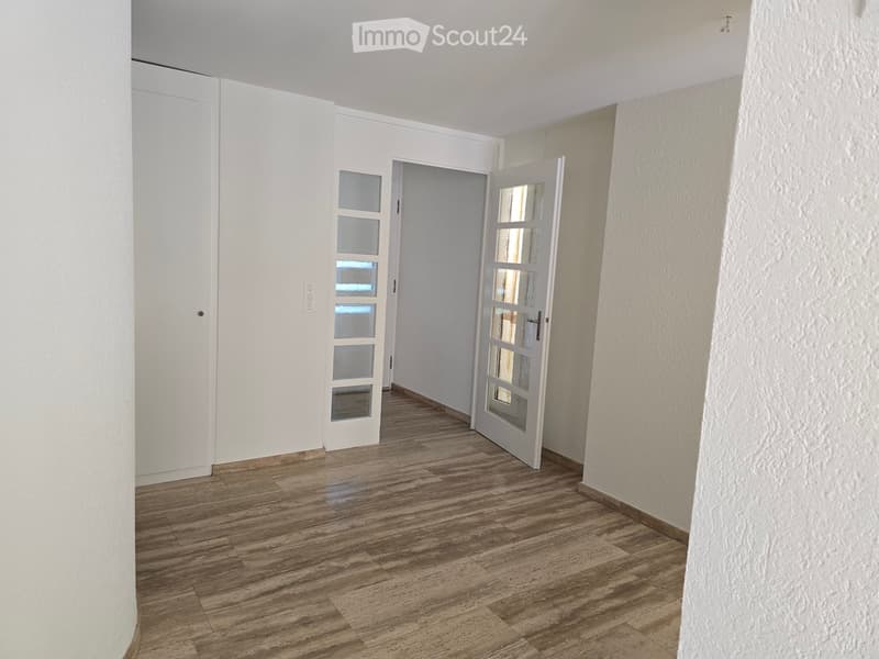Empty hallway with wooden flooring, white walls, and two white doors with glass panels.