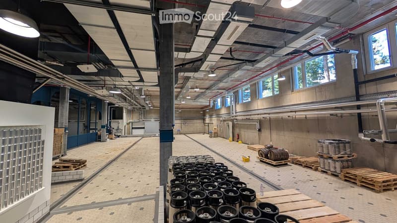 Industrial space with exposed ceiling, large windows, and storage of kegs, barrels, and pallets.