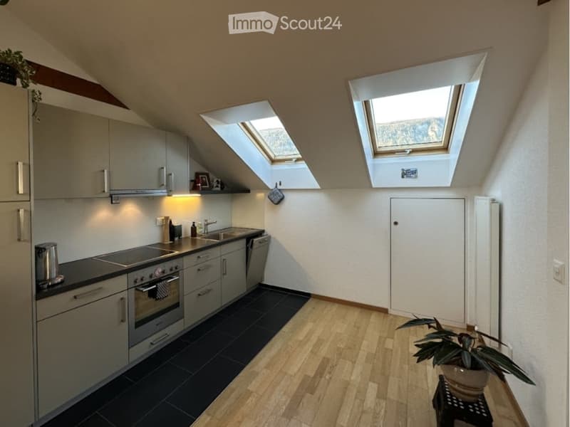 Modern kitchen with grey cabinets, stainless steel appliances, black tiled floor, and wooden flooring. Features two skylights and a small potted plant on a side table.