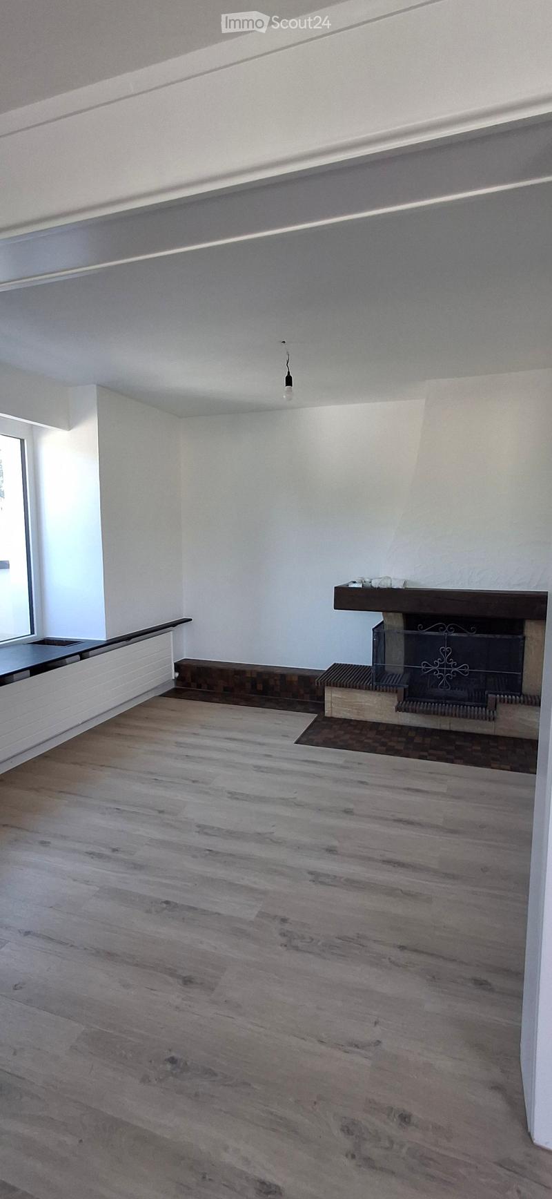 Empty room with wooden flooring, white walls, and a fireplace with a glass enclosure. The room has large windows and a modern ceiling light fixture.