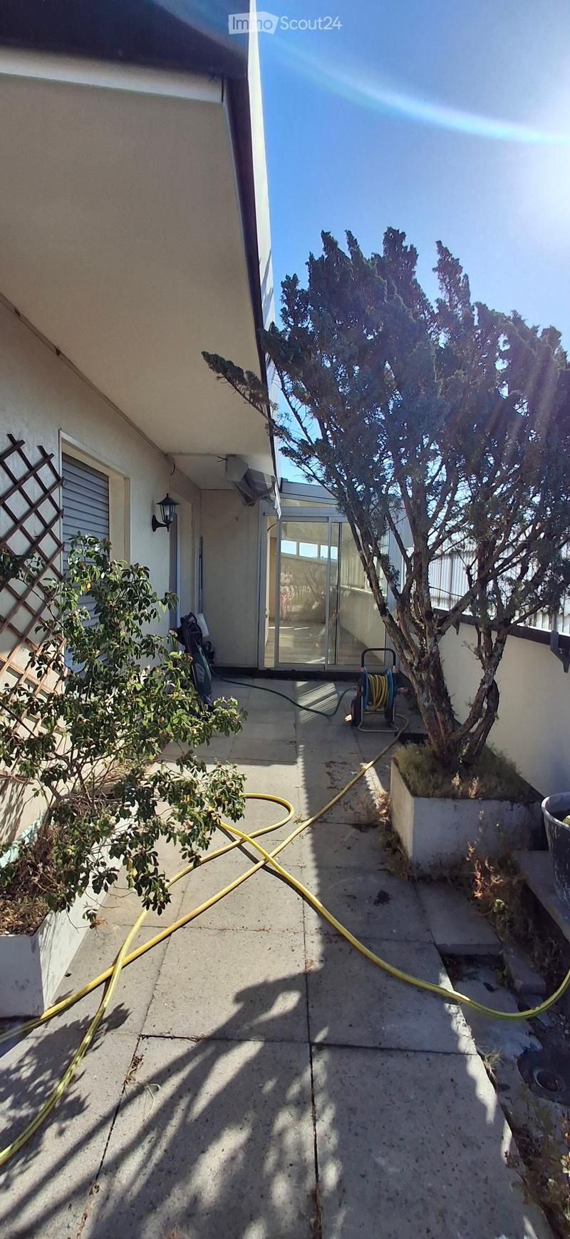 Concrete patio area with a large tree, potted plants, a coiled yellow hose, and a glass door leading to the house.