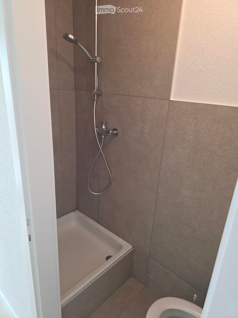 Modern bathroom with a corner bathtub, a toilet, a handheld showerhead, and a faucet.