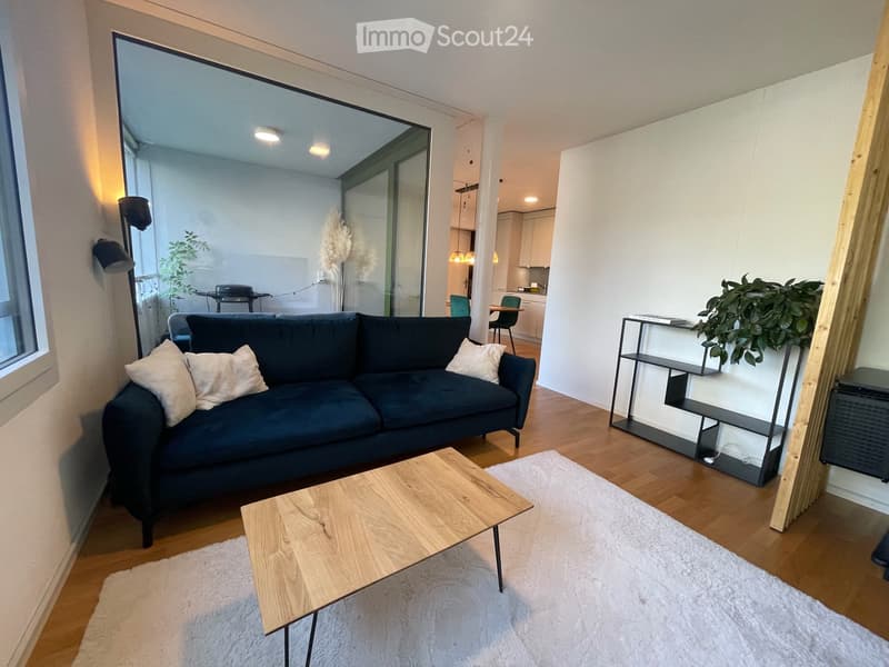 Appartement de 2,5 pièces confortable dans un excellent emplacement (2)