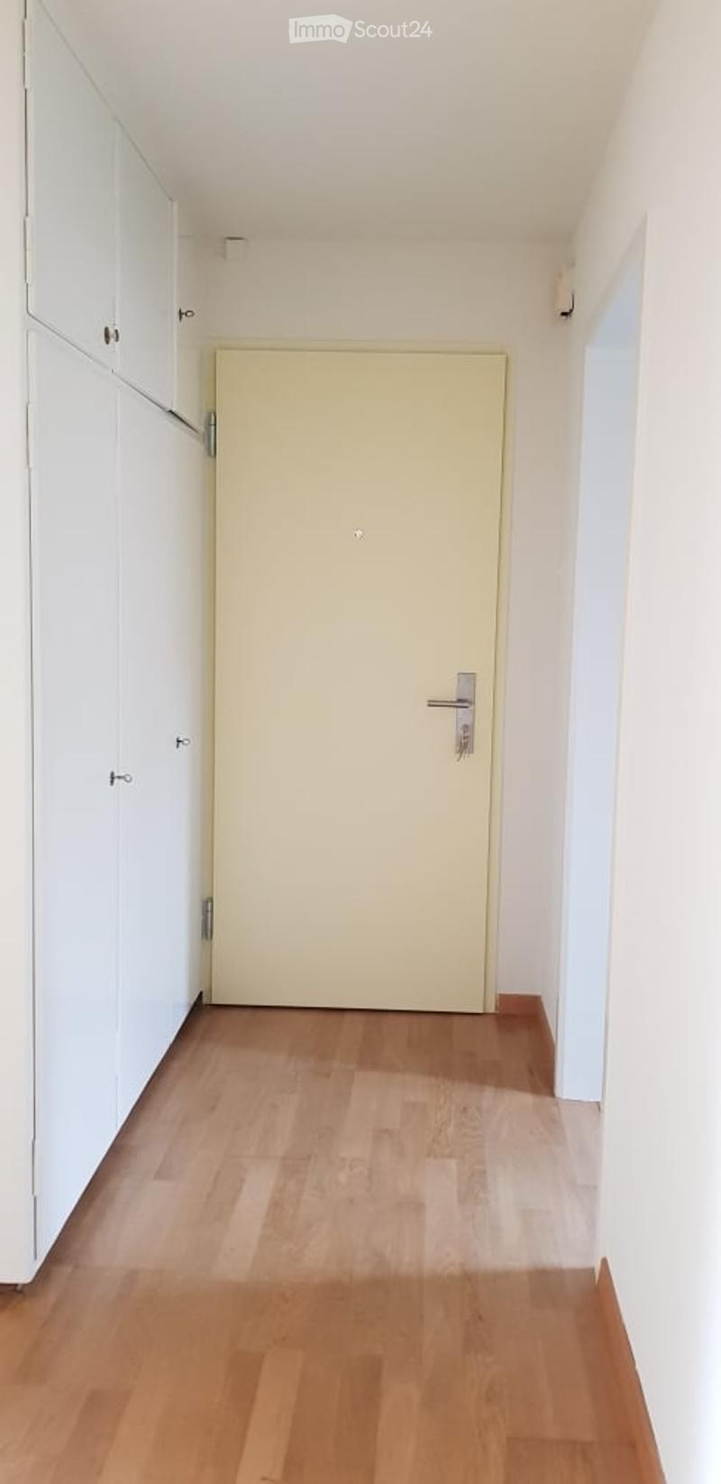 A narrow hallway with light wooden flooring, white walls, and white built-in cabinets on one side. A closed door is visible at the end of the hallway.