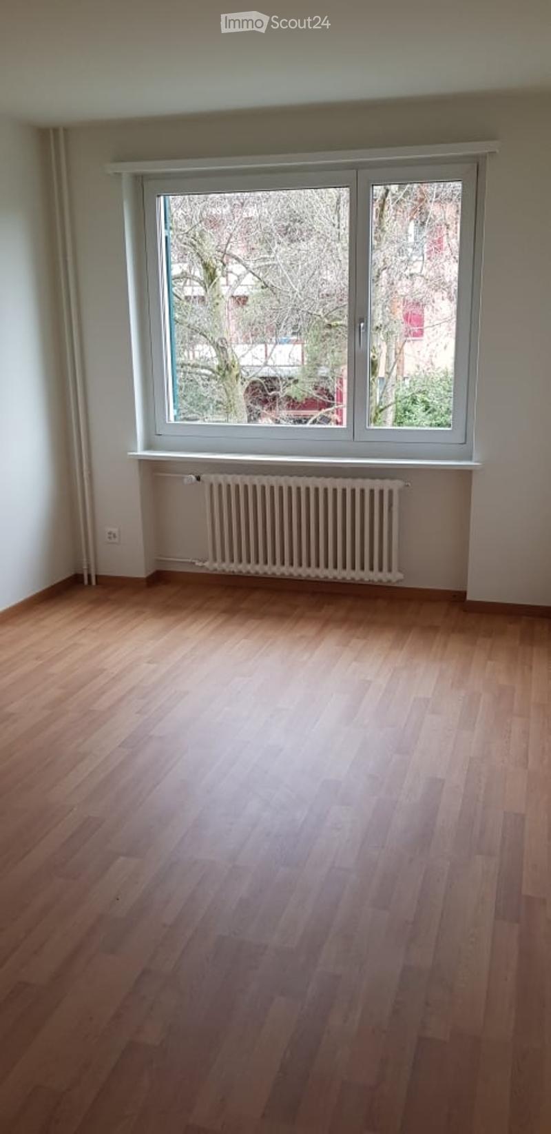 Empty room with wooden flooring, large window with white frame, radiator below the window, and white walls.