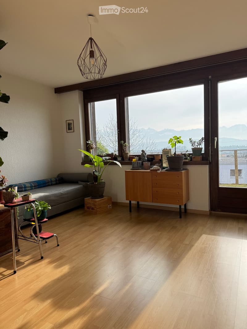 Bright living room with wooden flooring, large windows offering a scenic mountain view, a grey sofa, a wooden cabinet, a small table with a chair, and several potted plants.