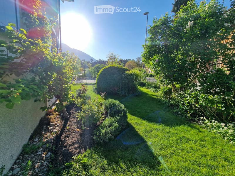 Well-maintained garden with neatly trimmed hedges, a variety of plants, and a stone border along the house wall. The area is bordered by a stone pathway and features a lush green lawn.